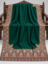 Emerald green Kani shawl with multicolour paisley border displayed open on a studio bench — Taj Mehal Handicrafts