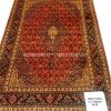 10 1 1 Tabriz Mahi Rug