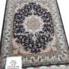 Tabriz Shahi Rug Tabriz Shahi Rug