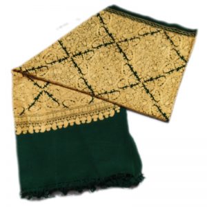 Green Aari work Jama with Embroidery