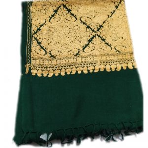 Green Aari work Jama with Embroidery