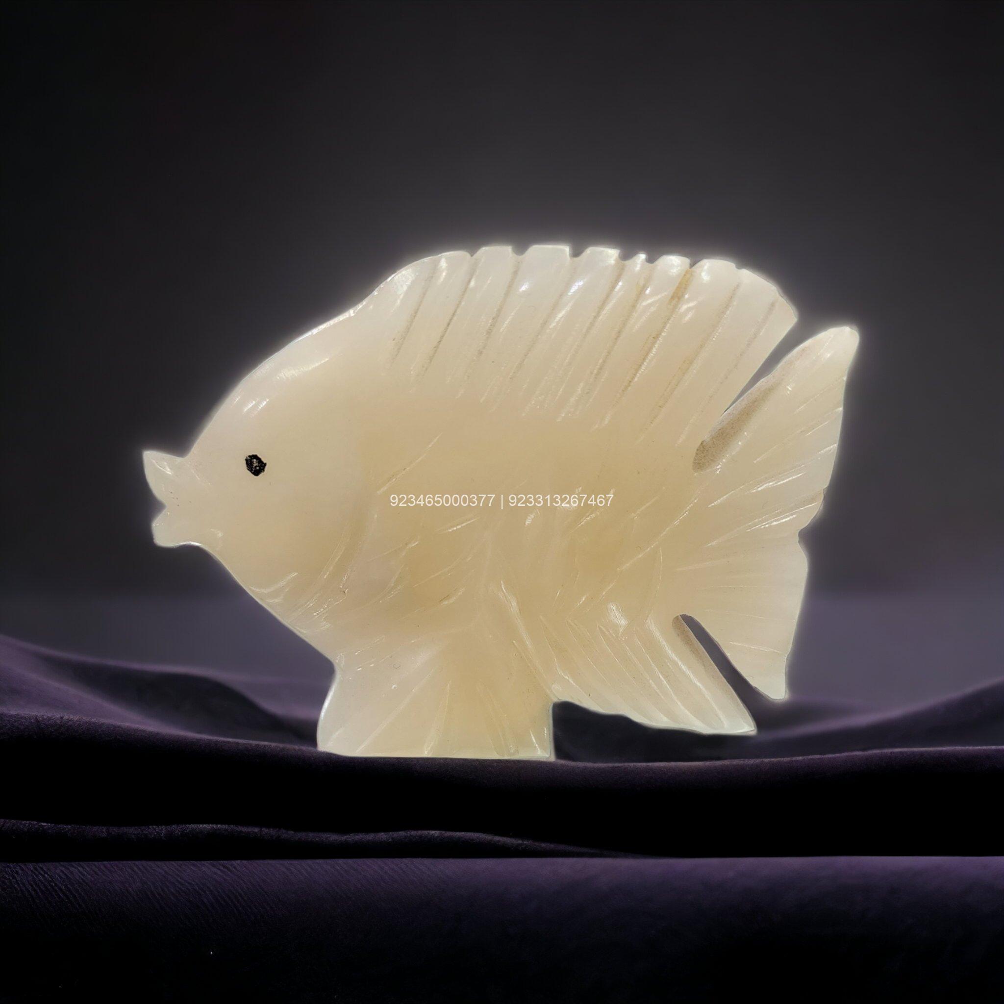 1000162798.jpg 1000162798