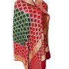 Georgotte Neemzari Multi Colour Dupatta