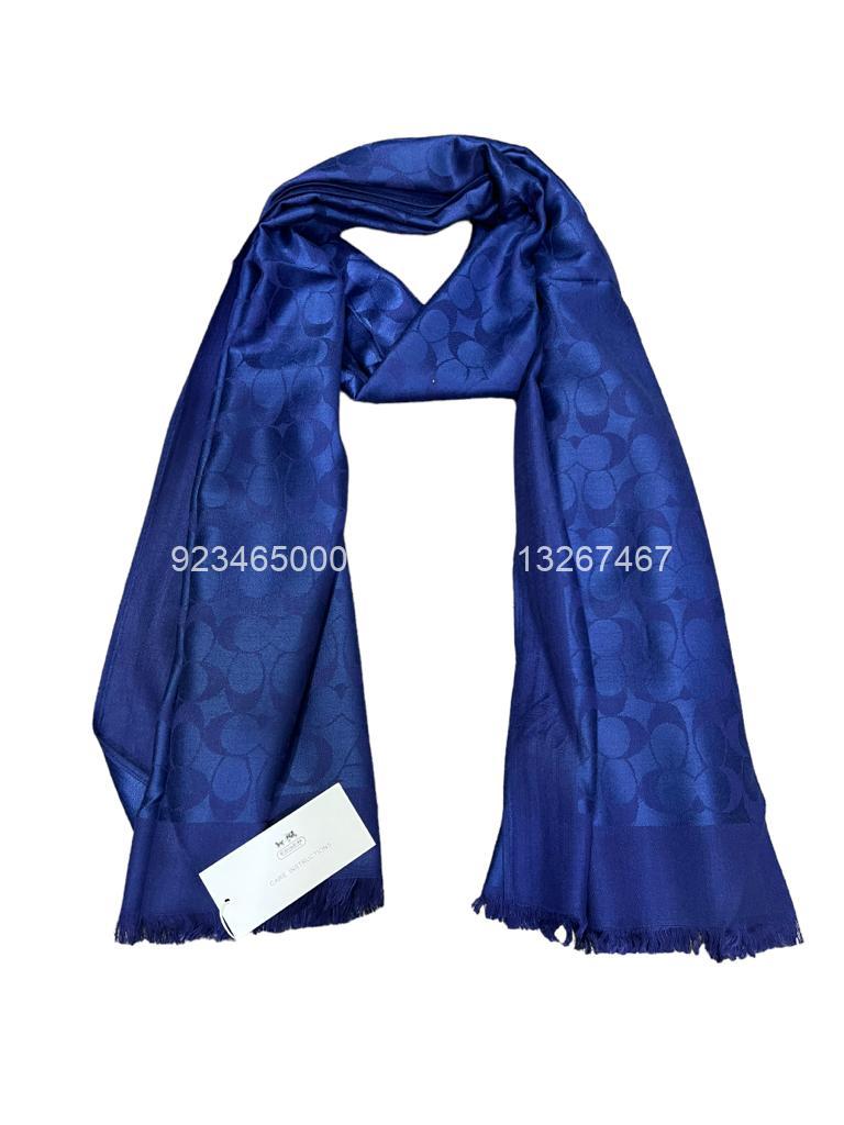 coach stole pakistan (10) coach stole pakistan 10