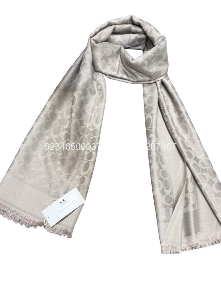 coach stole pakistan (9) coach stole pakistan 9