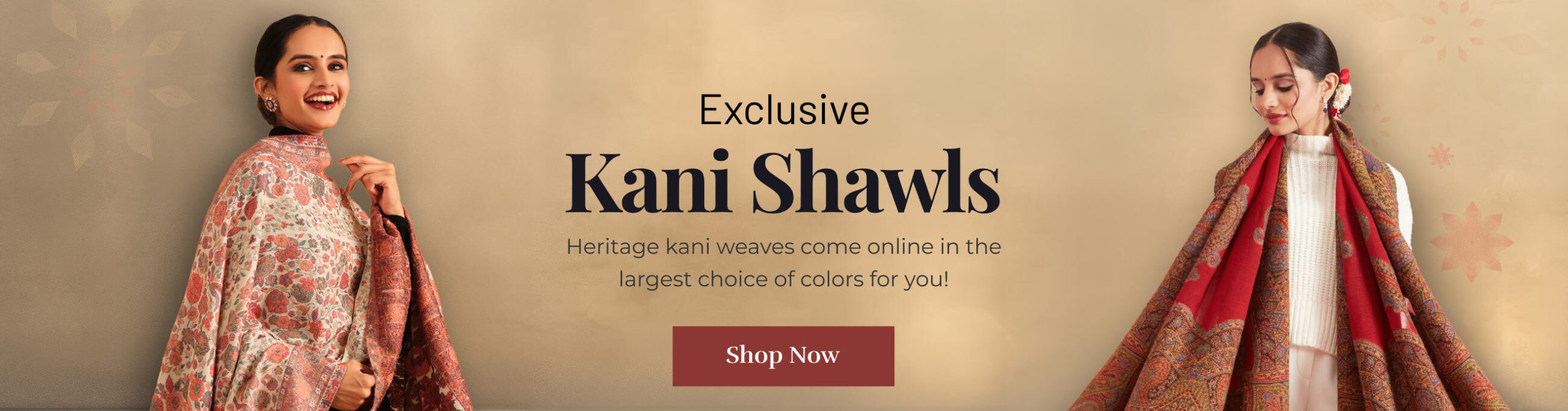 kani web scaled 1 kani-web-scaled